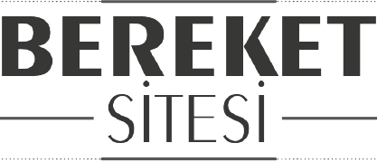 BEREKET SİTESİ LOGO